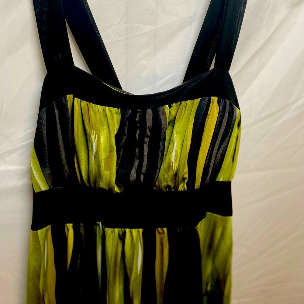 Annabelle Paint Stripe Dress